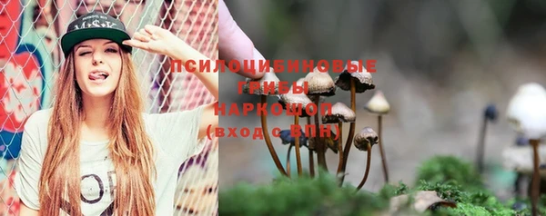 дмт Кинешма