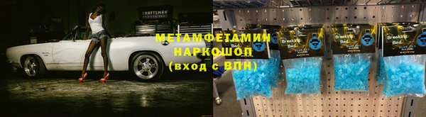 крисы Козловка