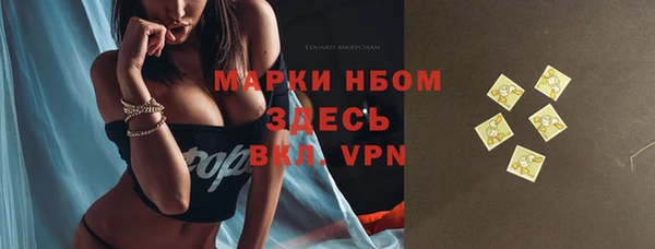 стаф Долгопрудный