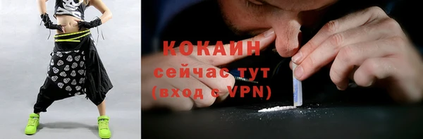 дмт Кинешма